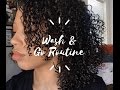 natural hair wash &amp; go routine! | yung$lb