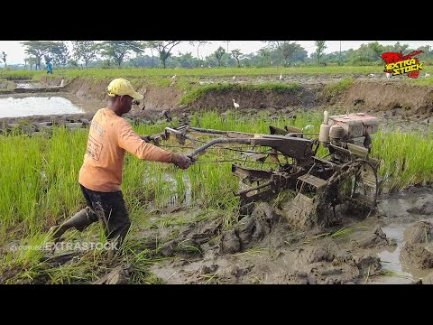 Video: Käsin muokkausmaa - kaksinkertainen kaivutekniikka