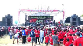 New Pallapa - Mutiara Hidupku