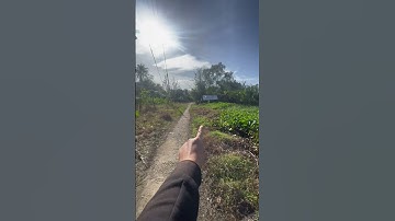 Chấn động nền nhà mặt tiền đường dal giá ngộp 65 triệu hết đất Tp,Vị Thanh Hậu Giang