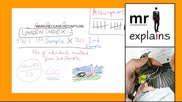 mr i explains: How the Mark, Release and Recapture (MRR) method of sampling works