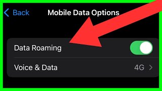 How to Turn On Data Roaming on iPhone How to Turn Off Cellular Data Roaming