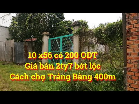 Video đất An Hoà Thị xã Trảng Bàng Tây Ninh cách nhựa lớn... - youtube