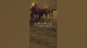 {قُلۡ أَعُوذُ بِرَبِّ ٱلۡفَلَقِ...} القارئ ماهر المعيقلي  #سورة_الفلق  #القران
