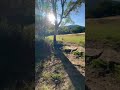 GROUNDATION - TRUST YOURSELF