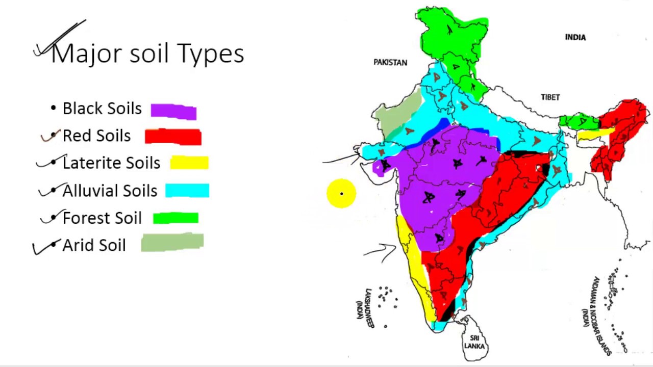 Soil Chart Of India