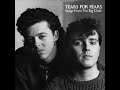 Everybody Wants to Rule the World (Tears for Fears)