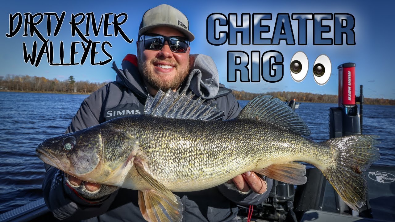 Cheater rig for dirty river walleyes 