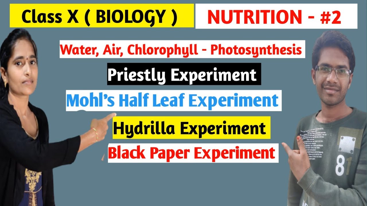 Nutrition 02 | Air and Water Photosynthesis | Pushpalatha Madam | Hazzu Tv