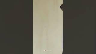 Kanamma Kanamma Song Kalaa Movie Whatsapp Status