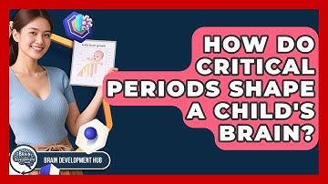 How Do Critical Periods Shape A Child