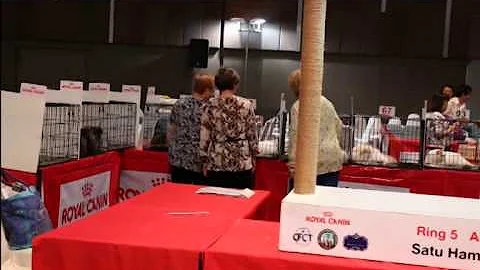 BEST OF THE BEST 2nd Royal Canin International Cat...