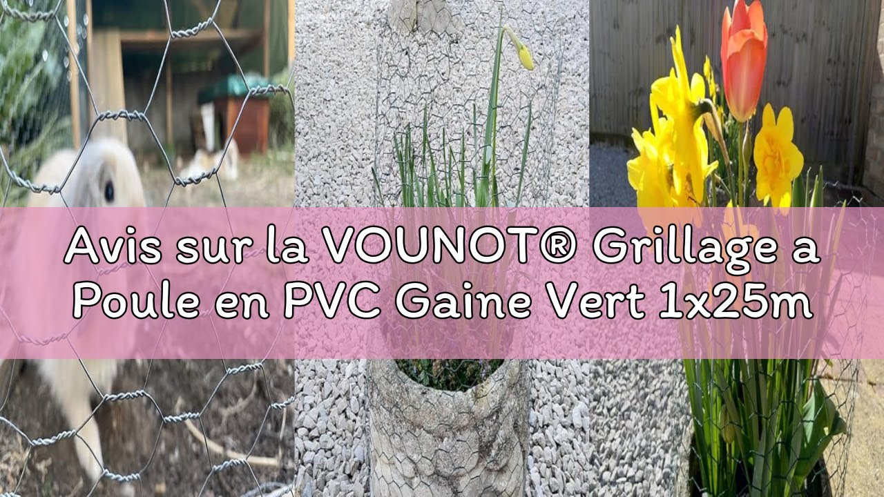 Avis sur la VOUNOT® Grillage a Poule en PVC Gaine Vert 1x25m Maille 25mm Hexagonal Triple Torsion Cl