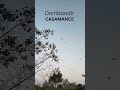 @visitmitgambia #casamance