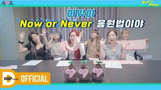 [Special] 에이프릴(APRIL) - Now or Never 응원법 (FanChant)