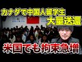 【衝撃】カナダが中国人留学生を大量送還!アメリカでも拘束者激増の裏側【経済】