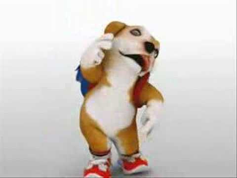 perro chacarrón