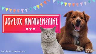 308 - Carte d'anniversaire drôle - Chats et chiens