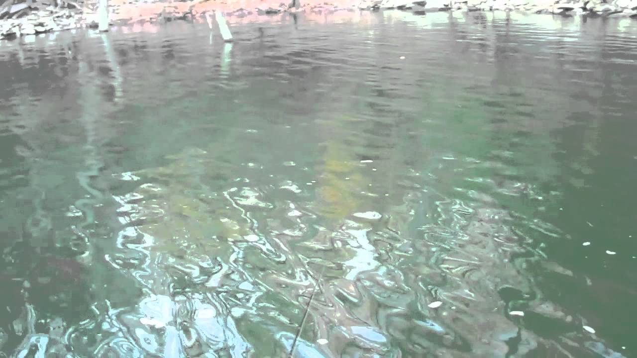 Carters Lake FnF Trip 20111112