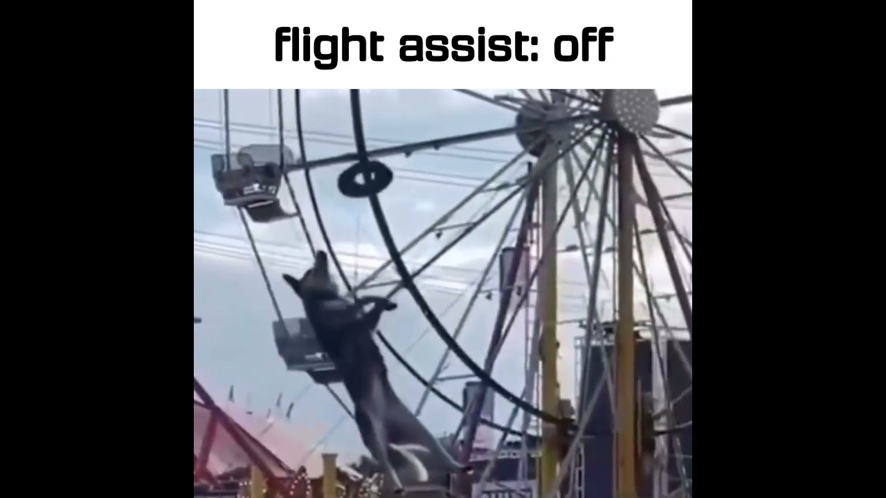 flight assist off