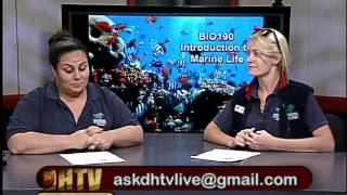 BIO190 Session #12 Fall 2015