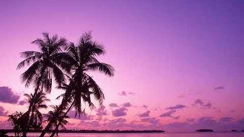 صوت مريح وفيه ابداع لما تيسر من سورة المنافقون