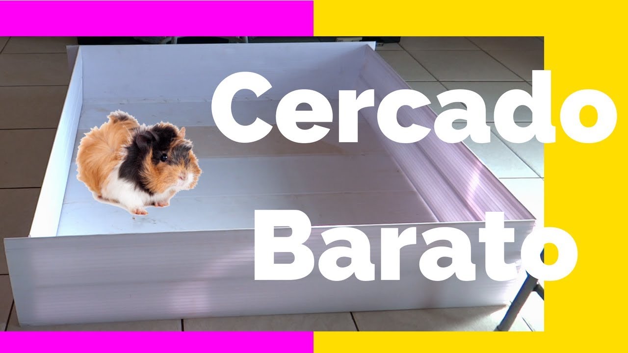 FAZENDO CERCADO BARATO PARA PORQUINHO DA ÍNDIA - PVC