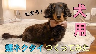 【はじめての蝶ネクタイ】犬用をつくってみました