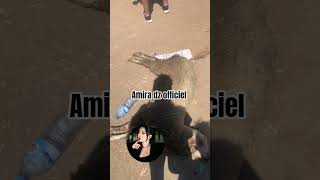كاريثة ربي يخلف عليهم
