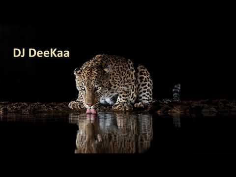 House Music \u0026 Deep Underground - H0603.2 (1 Hour Mix - DJ DeeKaa)