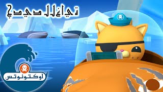 5 أوكتونوتس | الحيتان الحدباء | السَّحَّاري |  السلسلة 3 | الحلقة