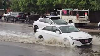 WAMO Self Driving car Freaks Out in The Phoenix Rain.