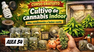AULA 34: COMO PLANTAR MACONHA do ZERO - Cultivo Indoor  (CICLO COMPLETO)