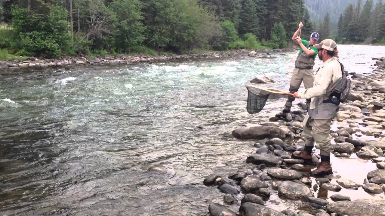 Fly Fishing in Big Sky Montana YouTube