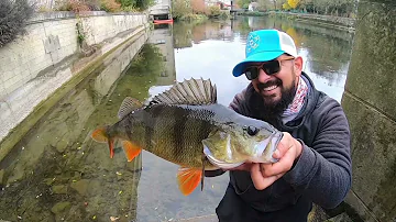 Comment pêcher en Charente ?