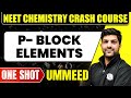 P- BLOCK ELEMENTS in 1 Shot : All Concepts, Tricks &amp; PYQs | NEET Crash Course | Ummeed