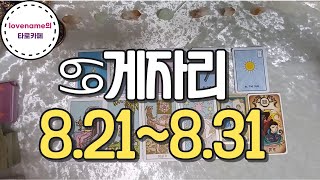 [타로/별자리운세]  ♋게자리♋【8/21~8/31】 운의 흐름