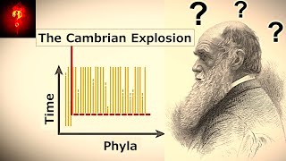 The Evolution Delusion ~ Was Darwin Wrong?