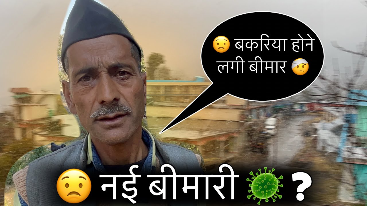गांव में आयी नई बीमारी 🦠 बकरी हो रही है बीमार 🤕!! pahadi life #youtube #garhwalivlogger #वीएल😍