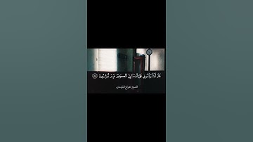 قران كريم 🤍 #لايك #اكسبلور #متابعه #راحه_نفسيه #فولو