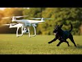 Drone Vs Dog Prank ( Funny Reaction)