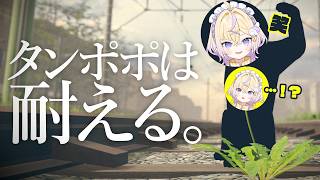 【 タンポポは耐える。 】タンポポだって必死に生きてる【ぽめろ・ぱんち / にじさんじ】