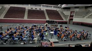 Full Wylie ISD Celebrate the Arts - Davis Intermediate Orchestra Performance  Guide