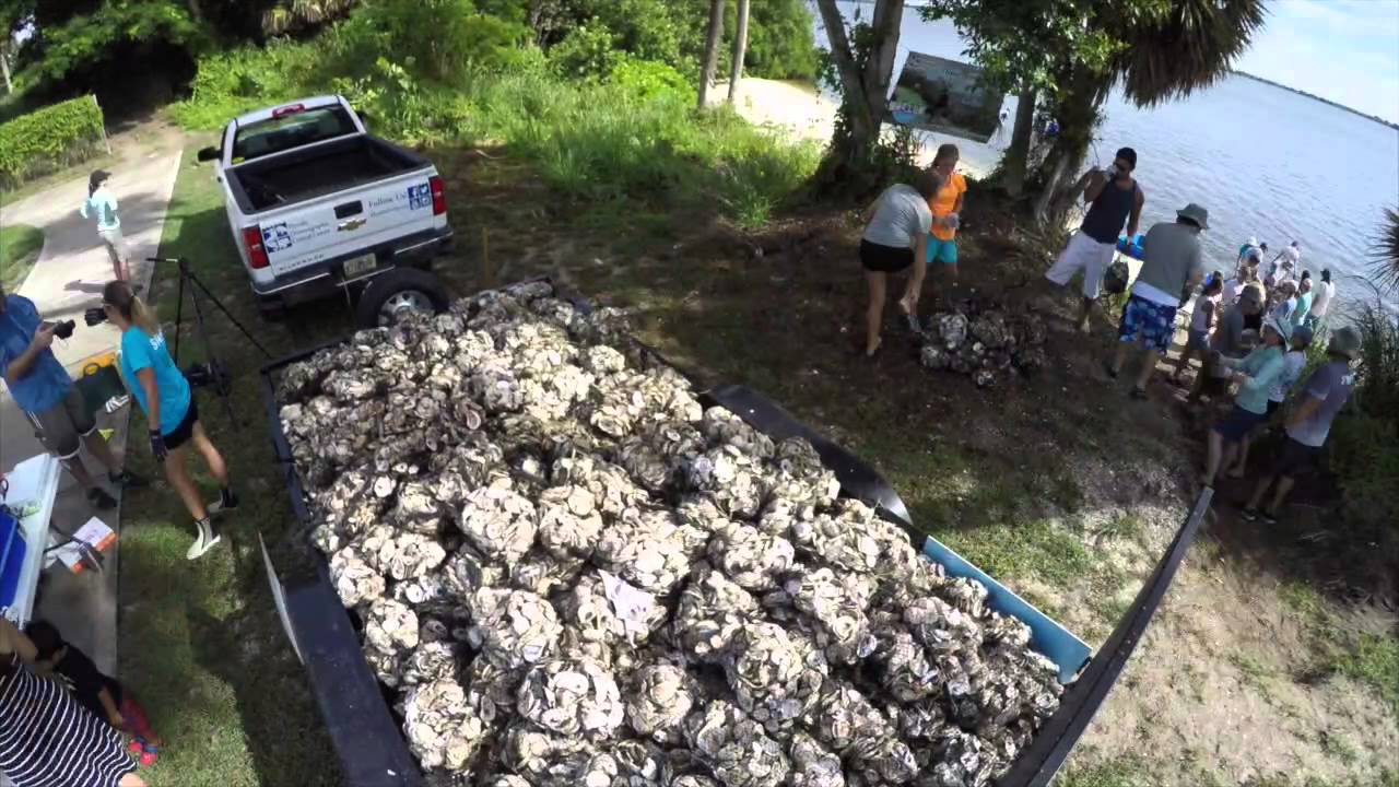 camera iphone 8 plus apk Oyster Reef Restoration - time lapse of 1,050 bag deployment