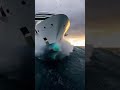 #ytshorts #cruisetips #shortsfeed