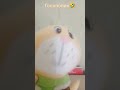 все тут голопопики все тут голопопики