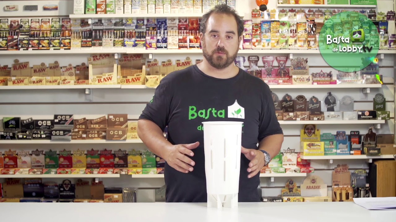 Mad Rocket 5L Basta de Lobby tv