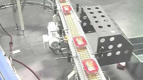 20186 BluePrint Automation (BPA) Gantry 100 Case Packer