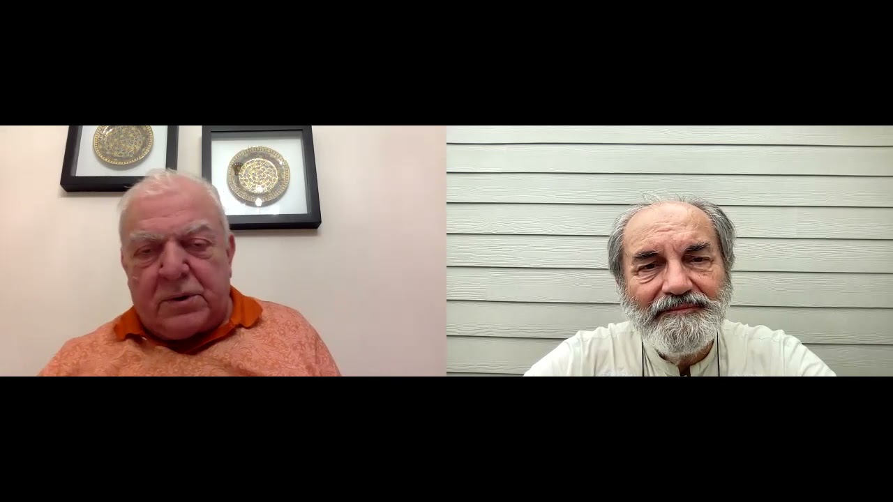 'Small Provincial Assemblies' initiated and explained by Şanar Yurdatapan 2021