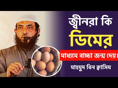 জ্বীনরা কি ডিমের দ্বারা সন্তান জন্ম দেয় | মাহমুদ বিন ক্বাসিম হাফি